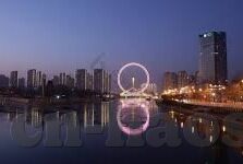 91视频麻豆在线观看-麻豆在线视频，探索成人内容平台的魅力与界限