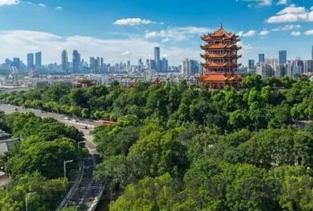 97人妻起碰免费公开视频-97人妻起碰，网络世界的灰色地带与道德边界