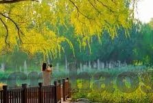 成人观看的视频-成人视频观看的多元视角与影响