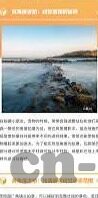 成人女人看片免费视频放人-成人世界，探索网络视频的多元视角与界限