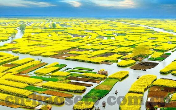 国产成人精品一区二区三区-国产成人影片的多元化探索，一区、二区、三区的独特魅力