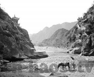 果冻传媒在线地址-探索果冻传媒的在线世界，创意与娱乐的交汇点