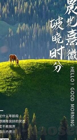 糖心app下载网址进入18-请慎重对待网络内容的获取，并遵守国家相关的法律法规及道德规范。如果您对某个领域的资讯有进一步的了解需求，我建议通过以下合法且安全的途径来获取信息