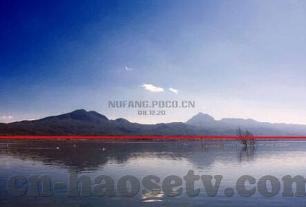 制服师生中文字幕-校园文化的独特风景，制服与师生情谊的中文字幕